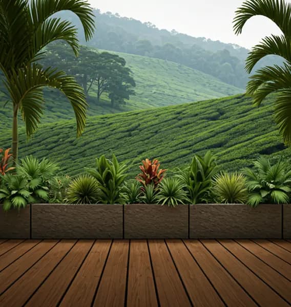Outdoor Balcony Garden